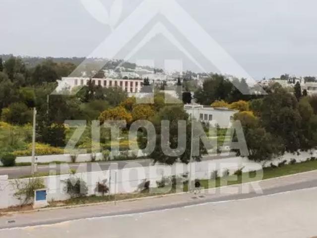 Appartement location