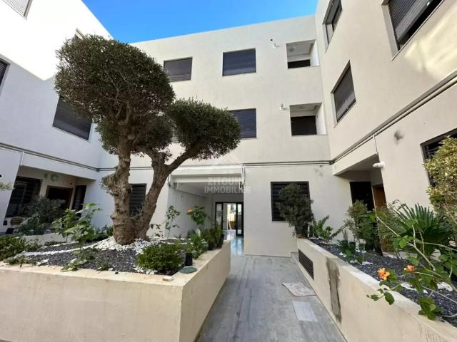 Appartement location