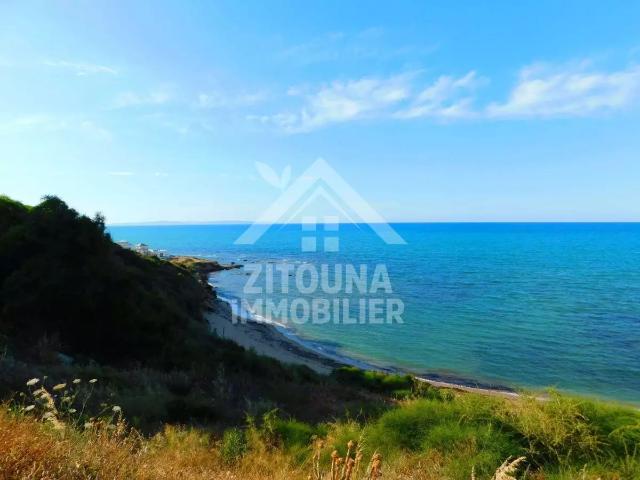 Appartement location