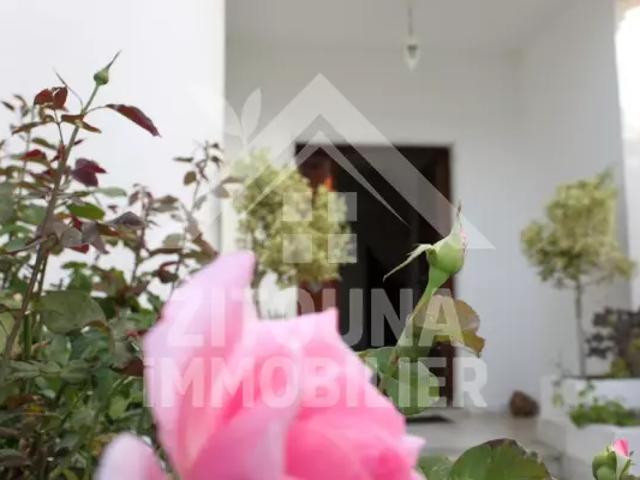 Appartement location