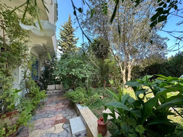 Appartement location