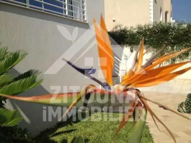 Appartement location