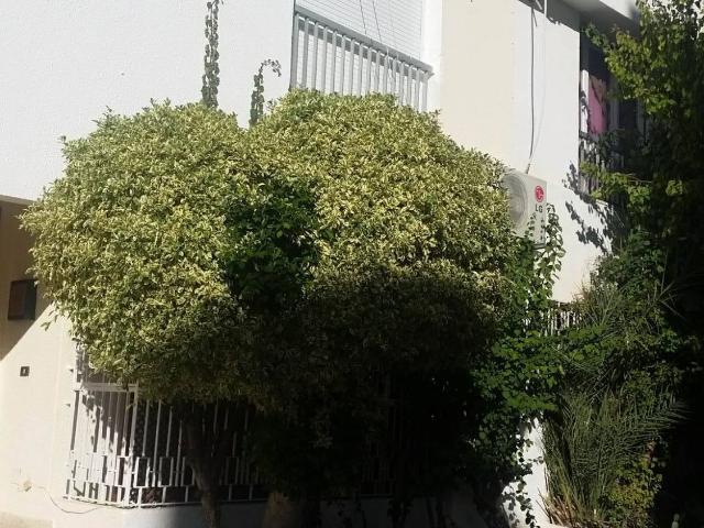Duplex location à Ariana Ville
