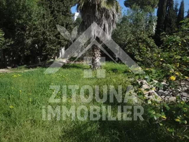 Maison location