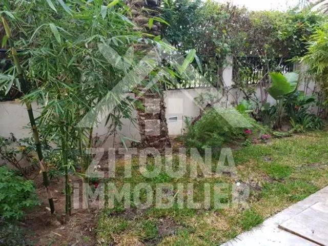 Appartement location