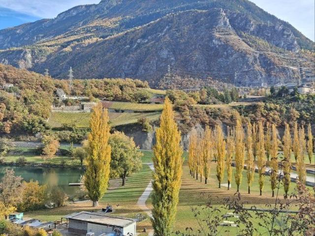 Apartment mieten in Sierre