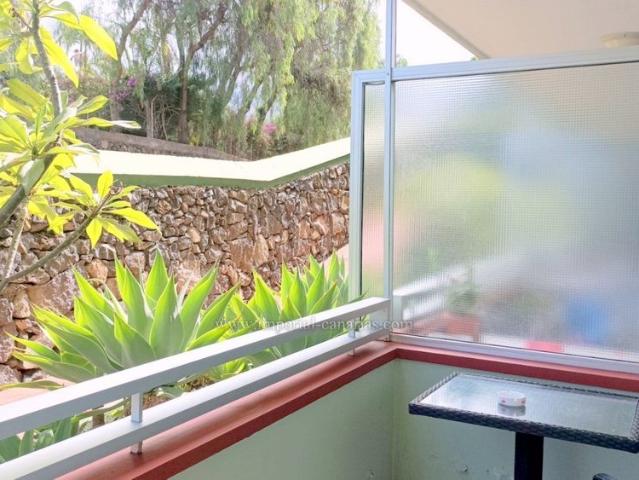 Estudio en alquiler en Puerto De La Cruz, Canarias
