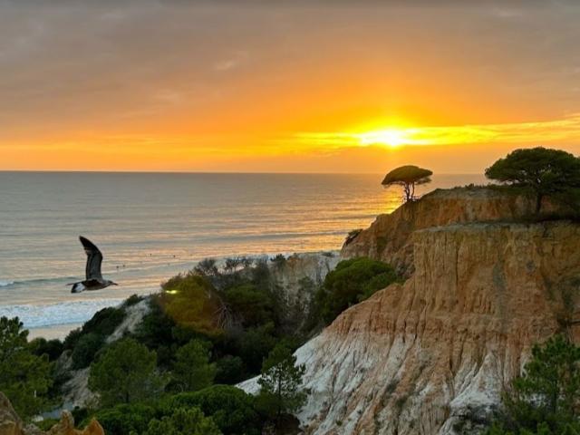 Apartamento venda em Albufeira, Faro