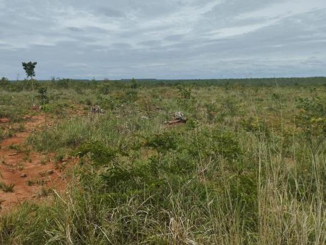 Sítio e chácara venda em Região Geográfica Imediata de Patos de Minas, João Pinheiro