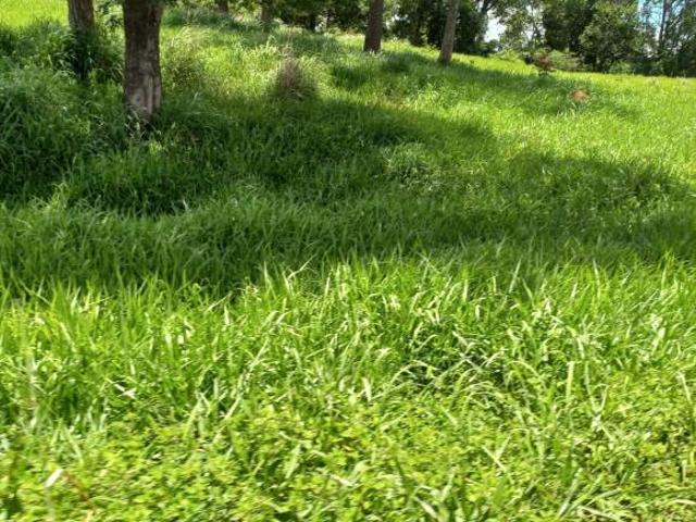 Sítio e chácara venda em Região Geográfica Imediata de Unaí, Região Integrada de Desenvolvimento do Distrito Federal e Entorno