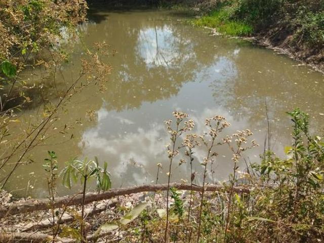 Sítio e chácara venda em Região Geográfica Imediata do Distrito Federal, Região Integrada de Desenvolvimento do Distrito Federal e Entorno