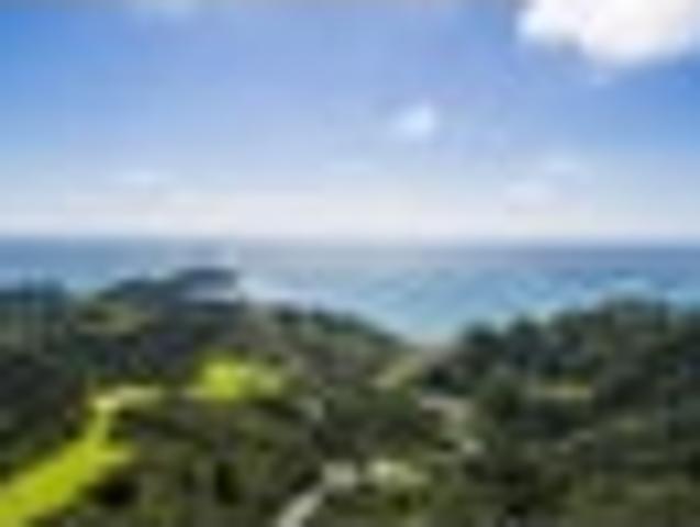 Land for sale in Northland