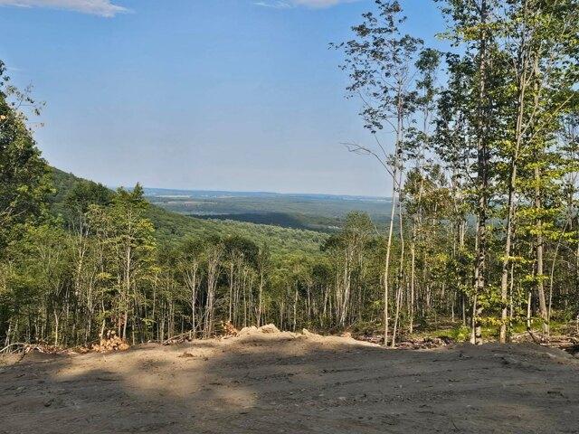 Land for sale in Buckfield, Maine