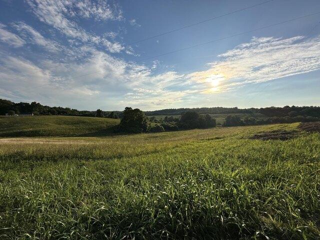 Land for sale in Carlisle, Kentucky