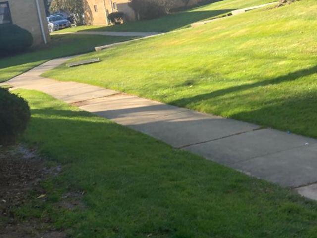Room for rent in New Jersey