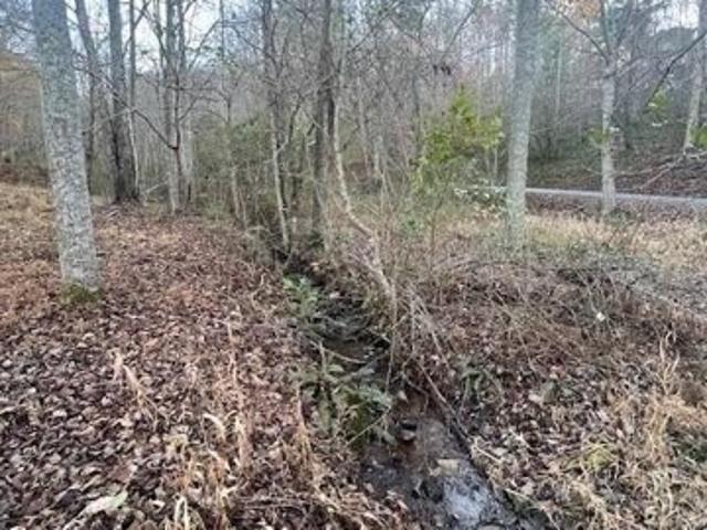 Land for sale in Blairsville