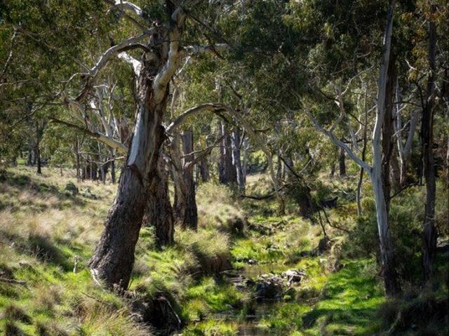 Cottage for sale in New South Wales