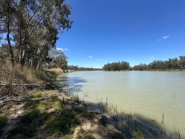 Land for sale in Paringa, Renmark Paringa Council