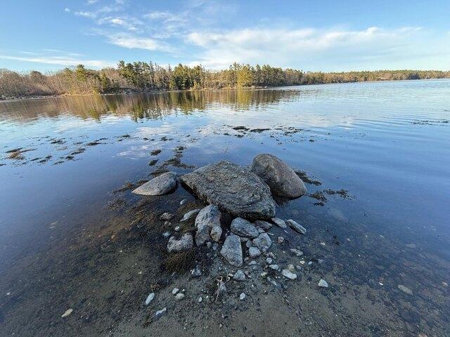 Land for sale in Surry, Maine