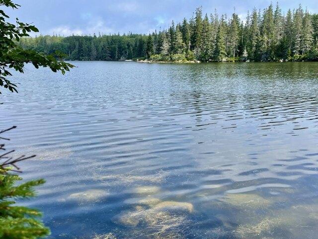 Land for sale in Vinalhaven, Maine