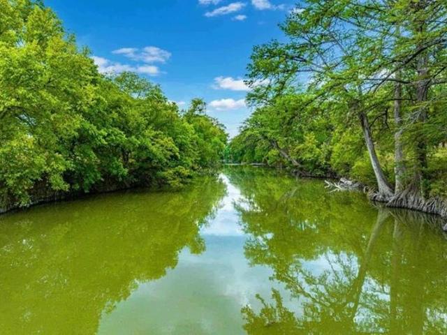 Land for sale in Comfort, Texas