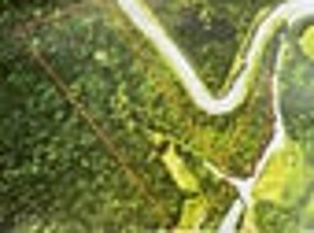 Land for sale in Matata, Wellington