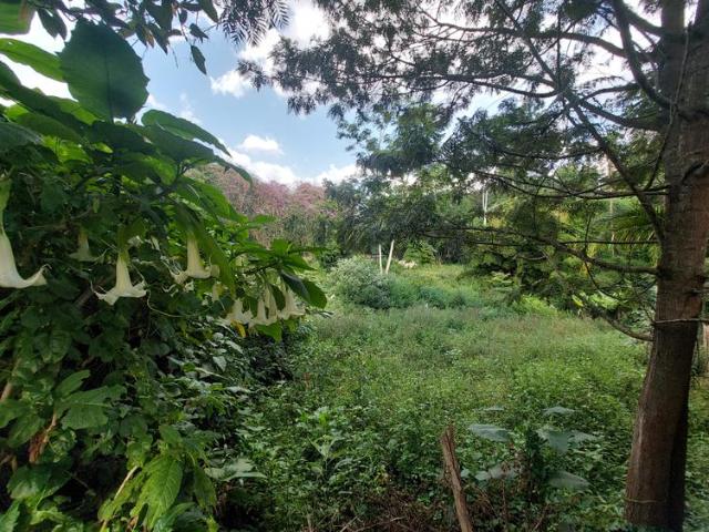 Land for sale in Runda, Kiambu