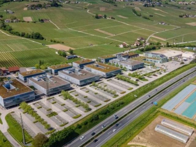 Büro mieten in Rolle, Waadt