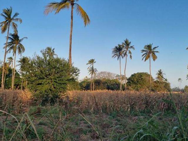 Land for sale