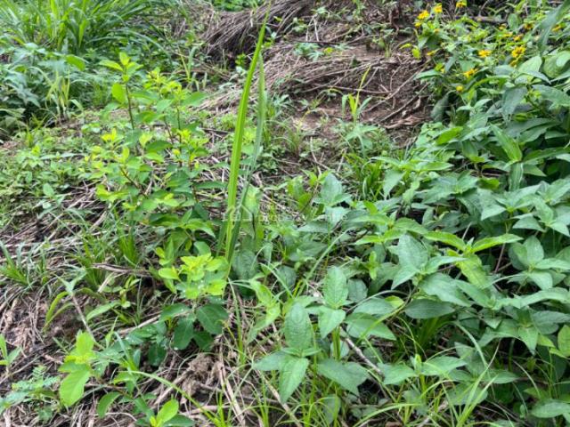 Property for sale in Odeda, Ogun