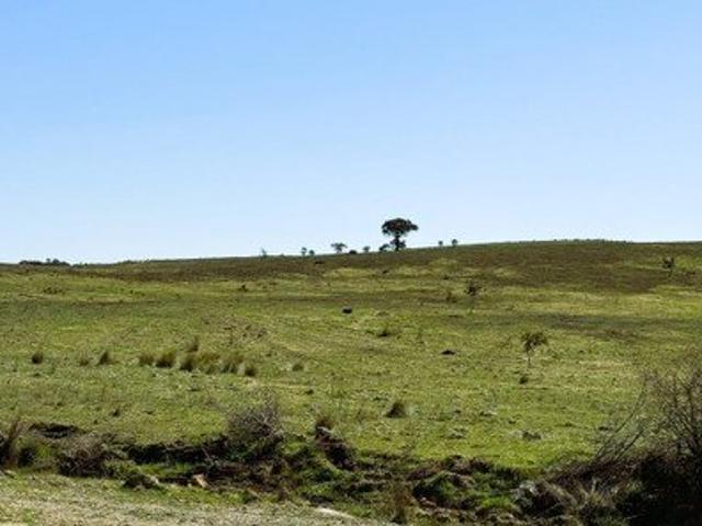 Land for sale in New South Wales