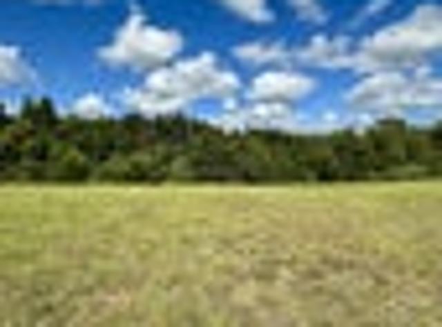 Land for sale in Karetu, Northland