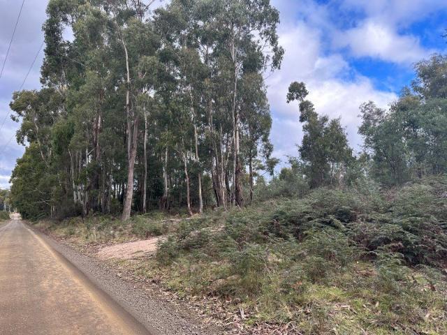 Land for sale in Reedy Marsh, Meander Valley
