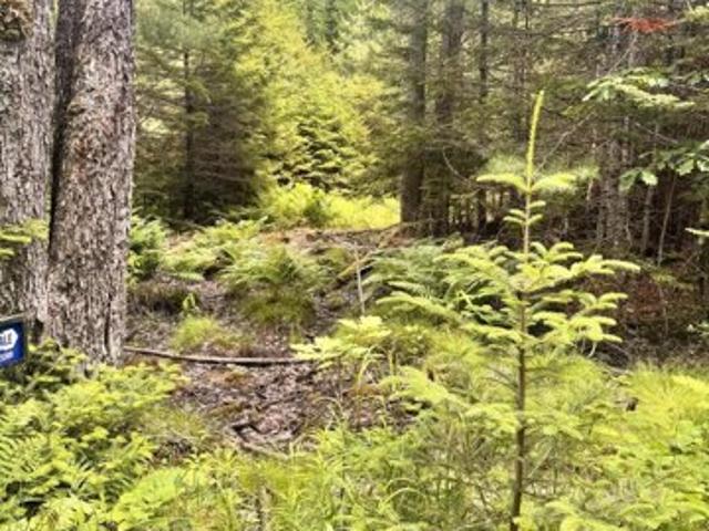 Land for sale in Penobscot, Maine