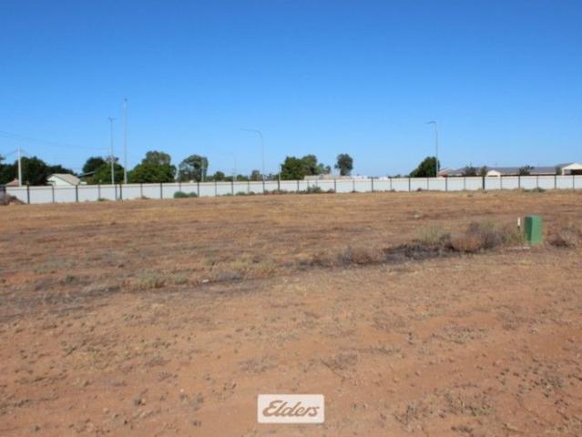 Land for sale in Euston, New South Wales