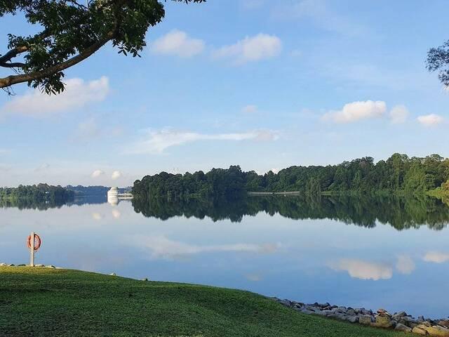 Room for rent in Thomson