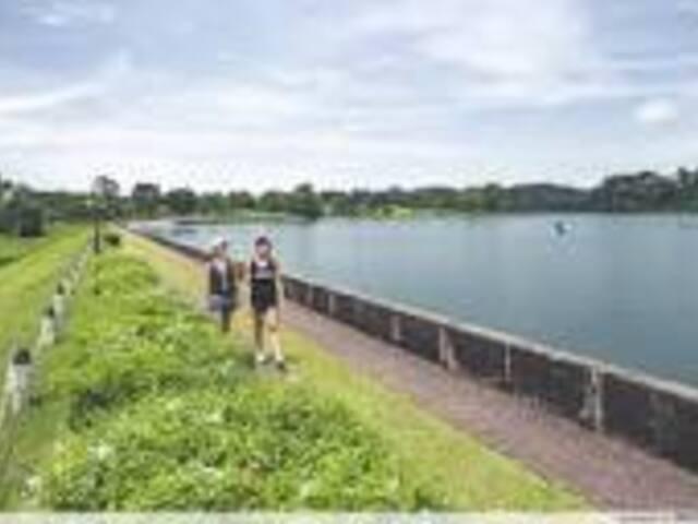 Room for rent in Thomson