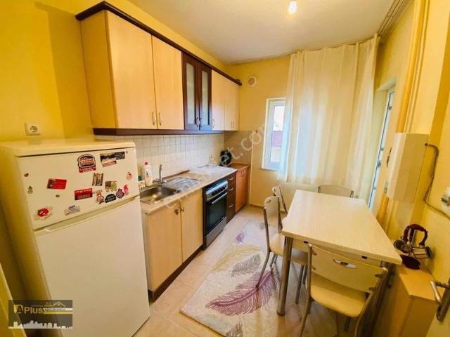 Toki Mahallesi, Tire içerisinde kiralık mülk