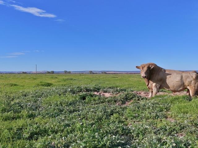 Property for sale in Beermullah, Western Australia