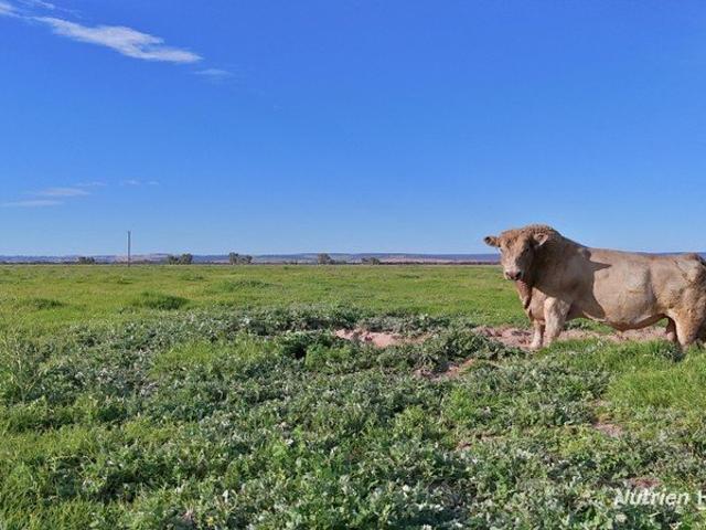 Acreage for sale in Beermullah, Western Australia