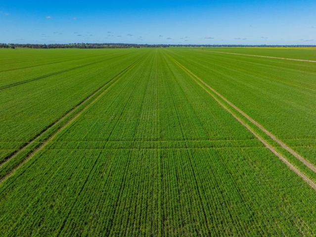 Property for sale in Savernake, New South Wales