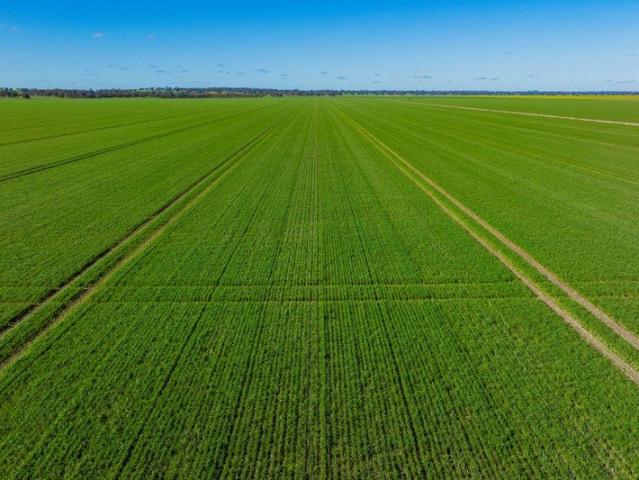 Cottage for sale in Savernake, New South Wales