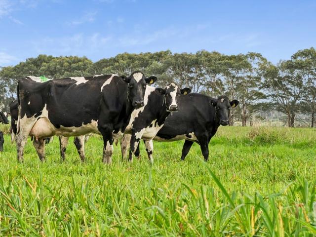 Property for sale in Swan Marsh, Shire of Colac Otway