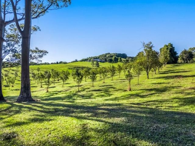 House for sale in Pearces Creek, New South Wales