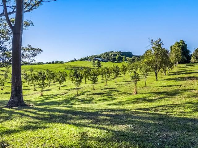 House for sale in Pearces Creek, New South Wales