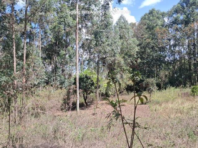 Property for sale in Ngong, Kajiado