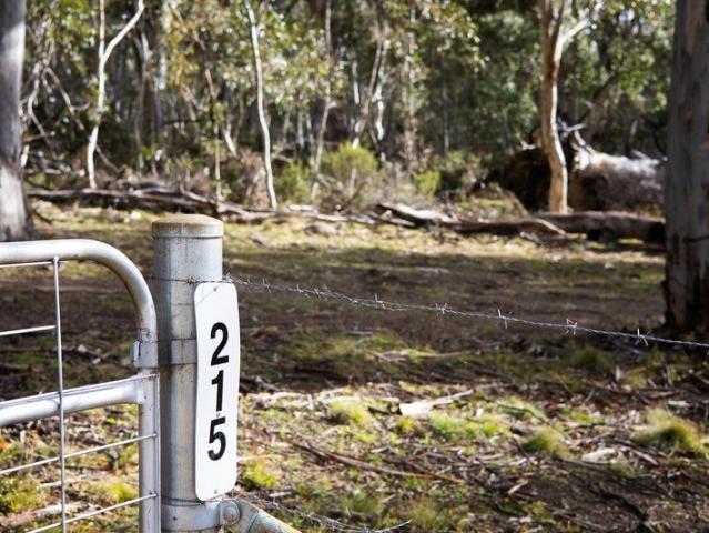 Land for sale in Grosses Plain, Snowy Monaro Regional Council