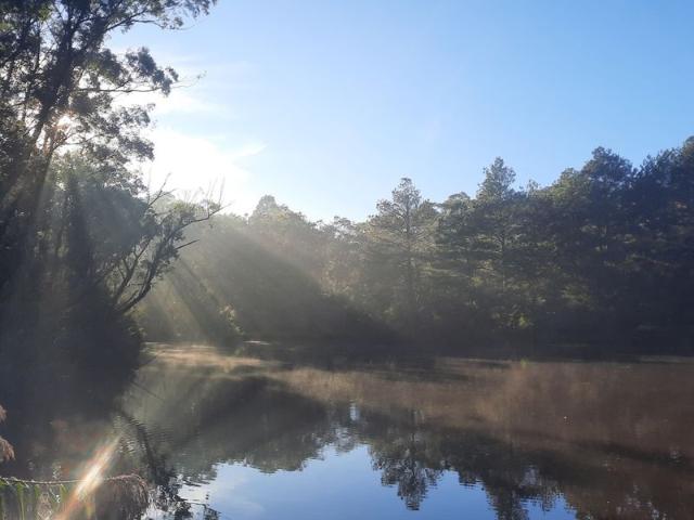 Cottage for sale in Sydney, New South Wales