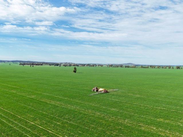 Cottage for sale in Ariah Park, New South Wales