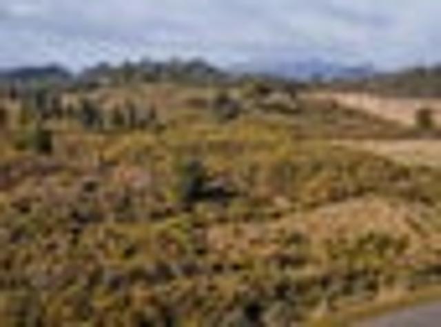 Land for sale in West Coast